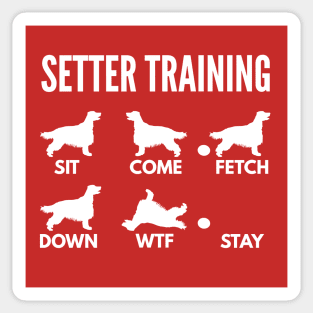 Irish Setter Training Setter Dog Tricks Sticker